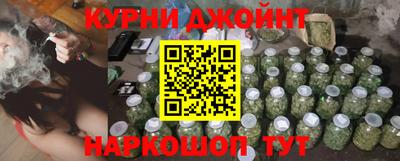 крисы Кунгур