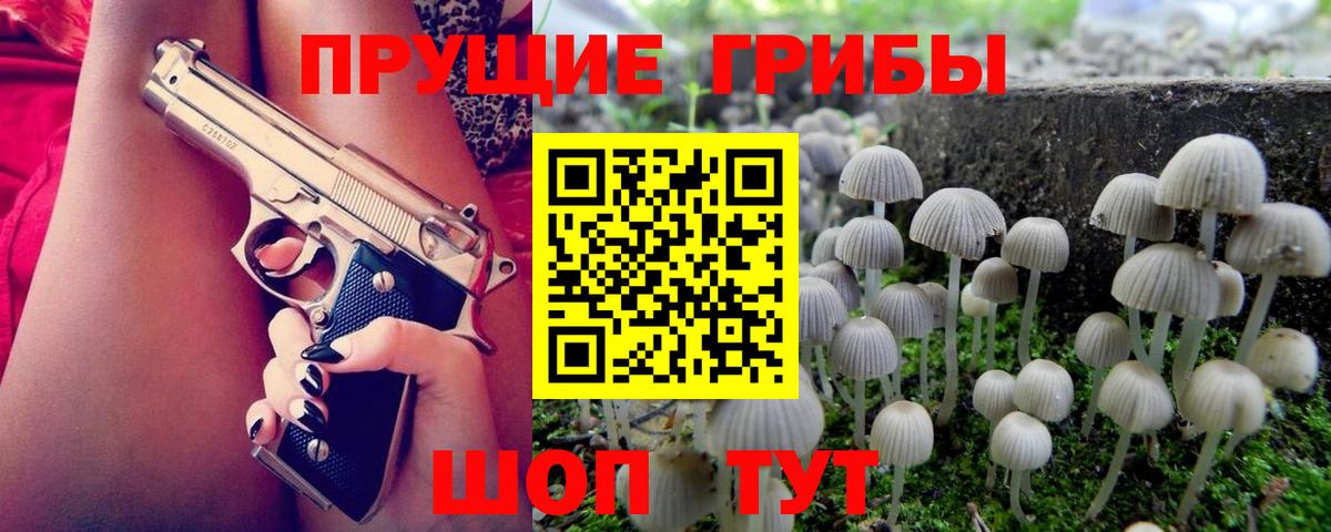 Псилоцибиновые грибы мицелий Камень-на-Оби