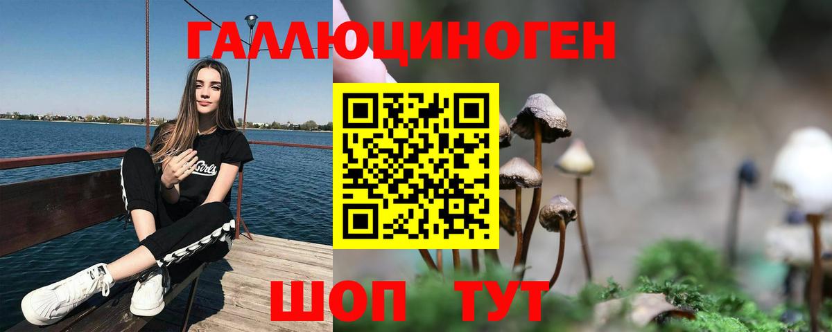Псилоцибиновые грибы ЛСД  Вход с VPN  Камень-на-Оби  Псилоцибиновые грибы MAGIC MUSHROOMS 